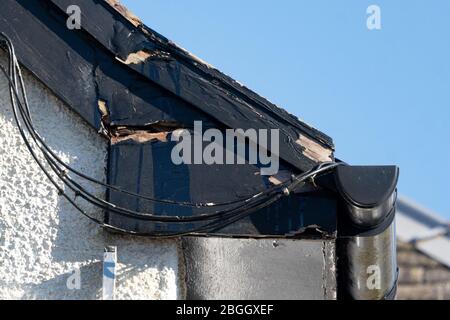 rotten wooden eves, soffit boards and barge boards on house, together with poor sky satellite wiring installation - UK Stock Photo