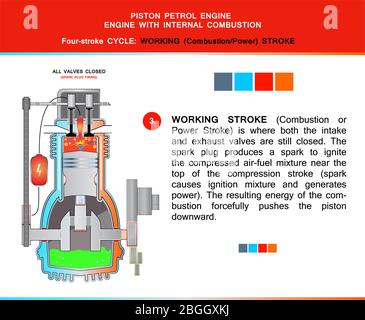 Piston engine petrol four stroke cycle in structural cross section for education Stock Vector