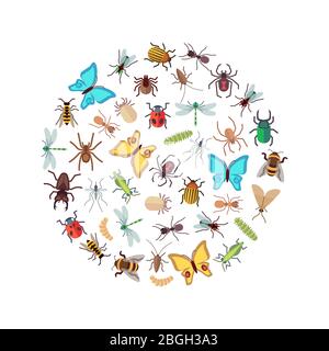 Flat insects icons round concept isolated on white background. Vector illustration Stock Vector