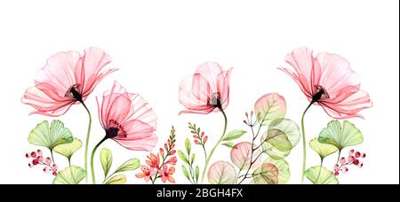 Watercolor Transparent Rose border. Floral arrangement of big pink