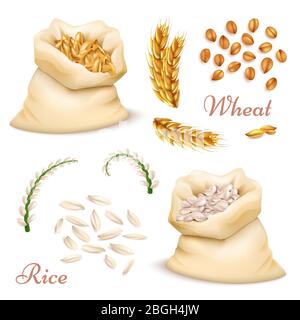 Rice Seeds Clip Art