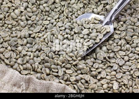 green unroasted coffee beans in burlap sack Stock Photo