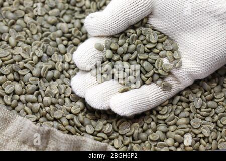 green unroasted coffee beans in burlap sack Stock Photo