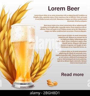 Realistic beer glass with ears of cereals vector background template. Illustration of drink alcohol and grain for brewery Stock Vector