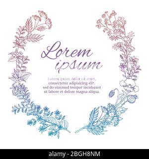 Colorful wedding wreath with wild flowers and herbs isolated on white background. Vector floral branch, herbal drawing nature illustration Stock Vector