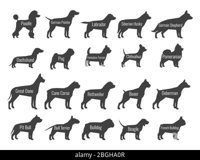 Black dog breeds vector silhouettes isolated on white background. Profile of poodle and labrador, siberian husky and shepherd, dachshund and pug illustration Stock Vector