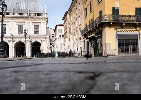 Street-level view of an unusually empty Italian square on Saturday morning: some pigeons looking for food. Stock Photo