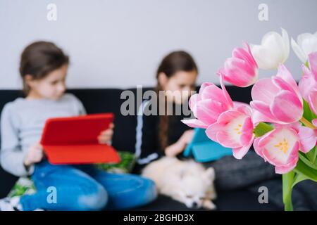 Online education, distance learning, homeschooling. Children studying homework during online lesson at home in tablet of laptop and holding videocall. Stock Photo