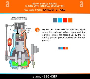 Piston engine petrol four stroke cycle in structural cross section for education Stock Vector