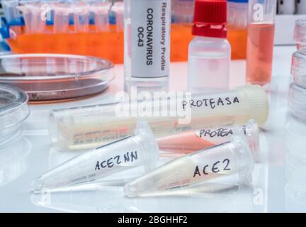 Several vials with soluble protease proteins for activation of the coronavirus severe acute respiratory syndrome (SARS) trypsin-like protein in human Stock Photo