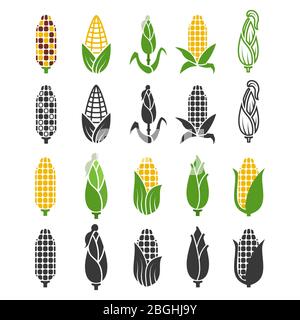 Black and color corn harvest icons isolated on white background. Vector maize silhouette, harvest plant nature illustration Stock Vector