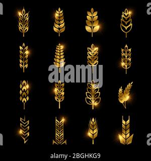 Golden wheat ears vector icons isolated on black background. Oat and barley, golden agriculture food illustration Stock Vector