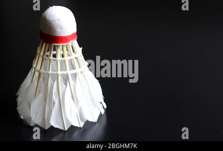 Badminton Shuttlecock. Feather Shuttlecock. Sports Equipment Stock Photo