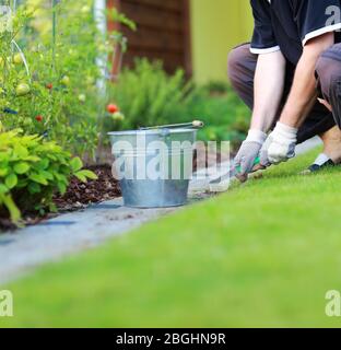 Gardening - removing weeds from the footpath in the garden Stock Photo