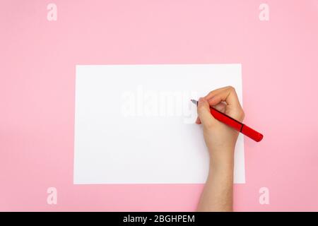 White sheet with pen for drawing, Creative concept on a pink background. The birth of an idea. Stock Photo