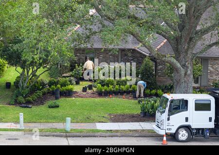 Gardeners at work landscaping a suburban house in Lakeview neighborhood Stock Photo