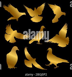 Golden dove silhouettes of set isolated on black background. Vector illustration Stock Vector