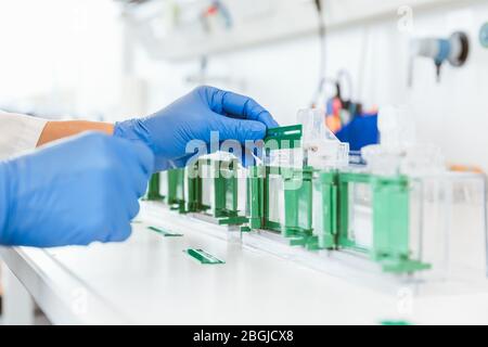 Scientist experimenting in laboratory Stock Photo