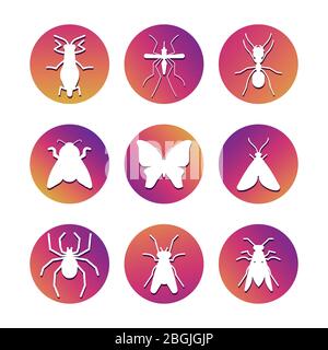 White insect silhouettes on coloful rounds. Popular insect icons set. Vector illustration Stock Vector