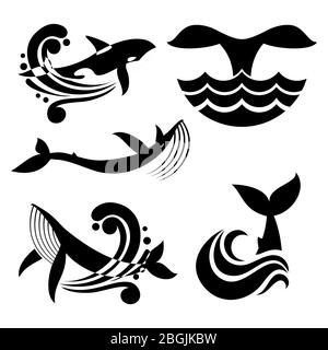 White and black wild whale in sea waves and water splashes vector icons. Wild big fish wildlife sea and ocean illustration Stock Vector