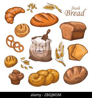 Cartoon bread, fresh bakery product, flour, ears of wheat. Hand drawn vector set isolated on white background. Bread bakery, flour and loaf illustration Stock Vector