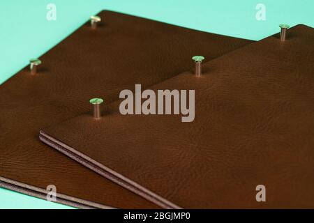 Leather portfolio binders on green background Stock Photo