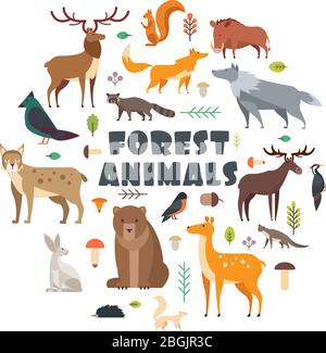 Wild forest animals and birds arranged in circle. Vector cover design. Wild mammal and forest bear, bird, fox illustration Stock Vector