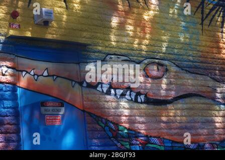 Crocodile Head Mural, West End, Brisbane, Queensland, Australia. Stock Photo