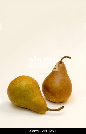 Two Bosc pears, Beurre Bosc, by James D Coppinger/Dembinsky Photo Assoc Stock Photo