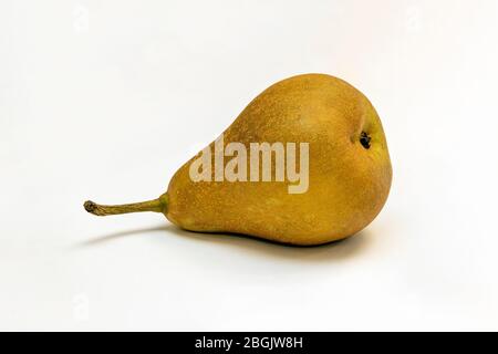 Bosc pear, Beurre Bosc, by James D Coppinger/Dembinsky Photo Assoc Stock Photo