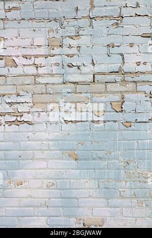 Brick wall, by James D Coppinger/Dembinsky Photo Assoc Stock Photo