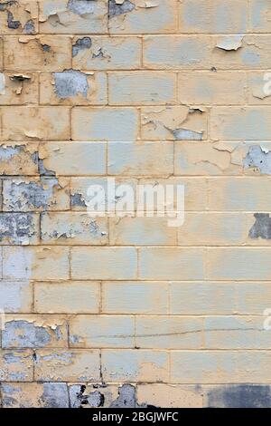 Brick wall, by James D Coppinger/Dembinsky Photo Assoc Stock Photo