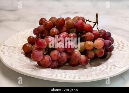 Domestic grapes, by James D Coppinger/Dembinsky Photo Assoc Stock Photo