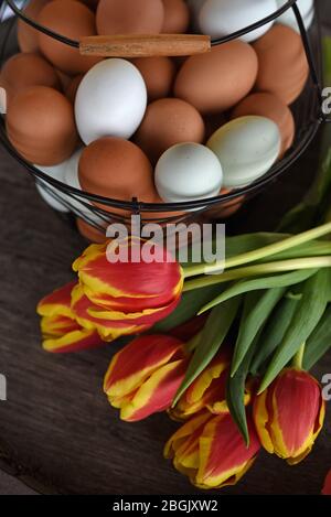 Red and yellow tulips lie in front of a wire basket filled with brown and white eggs. Stock Photo