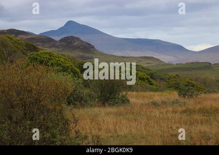 Looking across the wild Scottish landscape, over a dried grass-filled field and green trees, to the blue mountains and Ben More on the Isle of Mull. Stock Photo