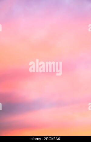 Texture of cotton candy pink clouds at sunset Stock Photo