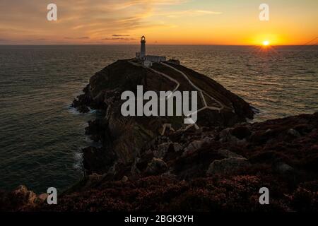 Sunset at South Stack Lighthouse, Anglesey Stock Photo