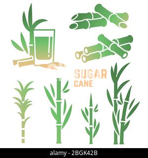 Sugar cane silhouettes icons of collection isolated on white background. Vector illustration Stock Vector