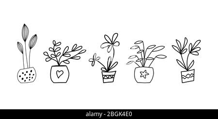 Set of cute hand drawn flowerpots. Doodle icon elements. Isolated on white background. Vector stock illustration. Stock Vector