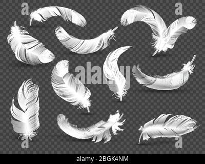 White feathers. Fluffy twirled feather isolated on transparent background. Realistic vector set of bird feather, realistic fluffy softness illustration Stock Vector