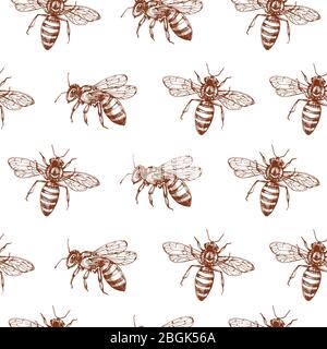 Honey bee seamless pattern. Vintage doodle sketch wrapping vector background. Illustration of bee insect, vintage seamless pattern Stock Vector