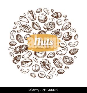 Eating nut label. Hand drawn nuts and seeds vector emblem isolated on white background. Natural drawing nutshell badge illustration Stock Vector