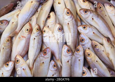 Fish Market, Heraklion, Island of Crete, Greece, Europe Stock Photo