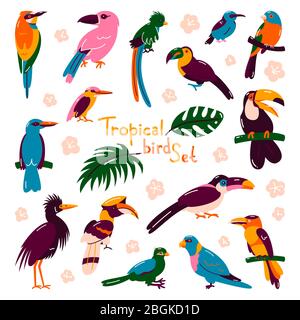 Set of birds. Bright exotic tropical birds. Macaw, Cockatoo, flamingo toucan Vector Stock Vector