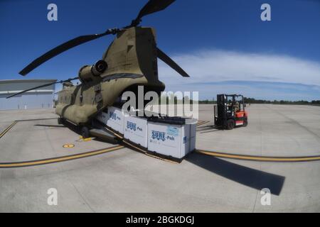 U.S. Army National Guard Soldiers with the South Carolina National Guard unload personal protective equipment from a CH-47 Chinook assigned to the 2-238th General Support Aviation Battalion, South Carolina National Guard, and load onto a truck to be transported and distributed to counties in the upstate of South Carolina by U.S. Army National Guard Soldiers with Joint Task Force 59, South Carolina National Guard, in support of the South Carolina Department of Health and Environmental Control. The South Carolina National Guard remains ready to support the counties, local and state agencies, and Stock Photo