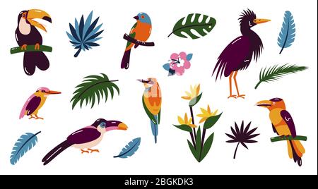 Set of birds. Bright exotic tropical birds. Macaw, Cockatoo, flamingo, toucan. Vector. Stock Vector