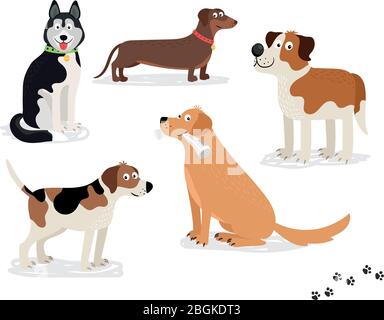 Happy dog vector characters on white background. Dogs standing and sitting, holding newspaper. Stock Vector