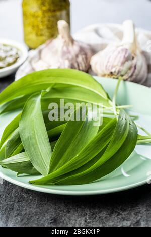 Green wild garlic leaves on green plate. Stock Photo
