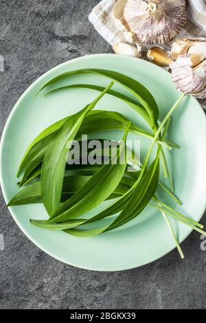 Green wild garlic leaves on green plate. Top view. Stock Photo