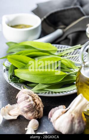 Green wild garlic leaves. and garlic bulb. Ramsons leaves on kitchen table. Stock Photo